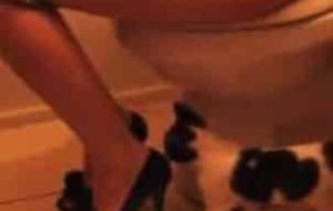 The pooping girl in high heel and her cat