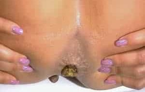 Caca du matin en gros plan sur anus