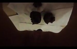 Copine qui fait caca en pov super angle de vue