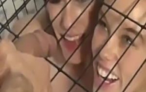 En cage megan rain et jennifer white se font pisser dessus