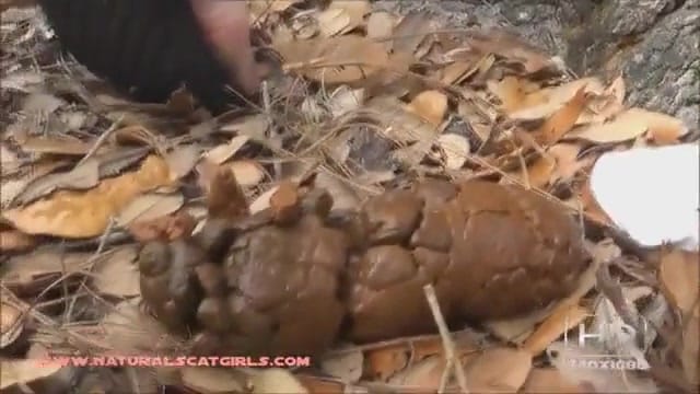 jolie femme défèque en foret
