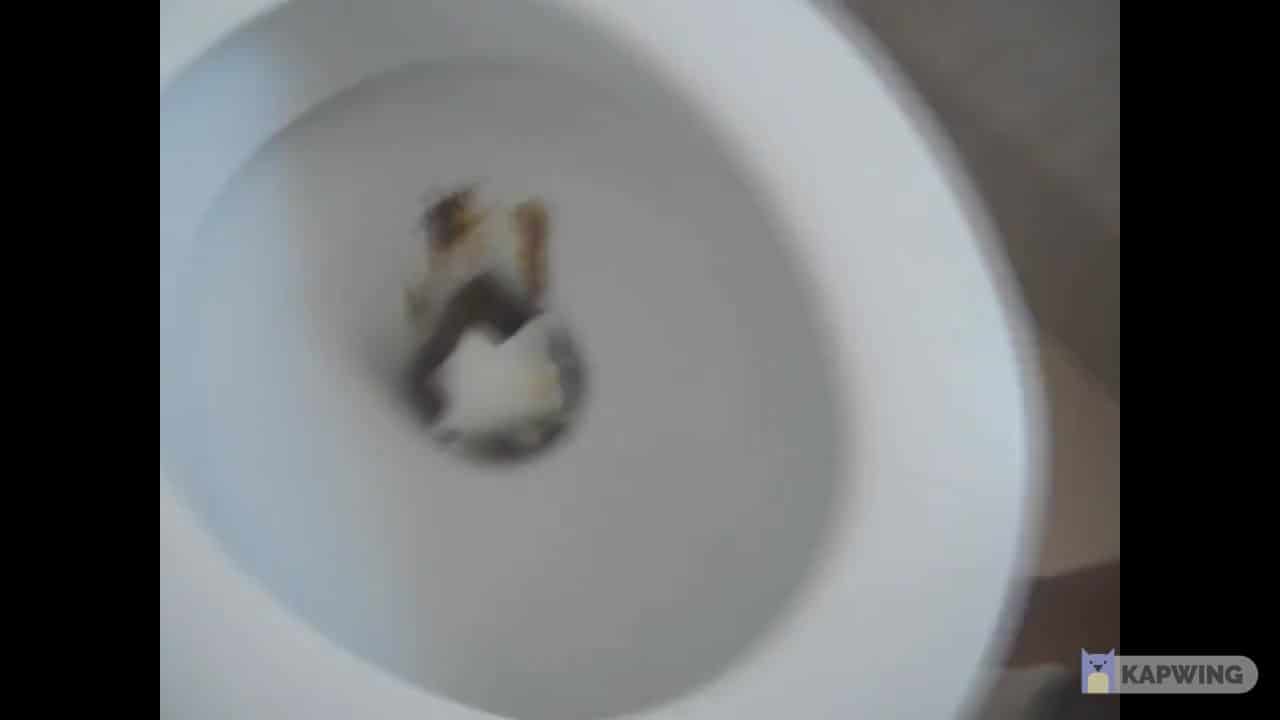 Caca Filmé sur les toilettes