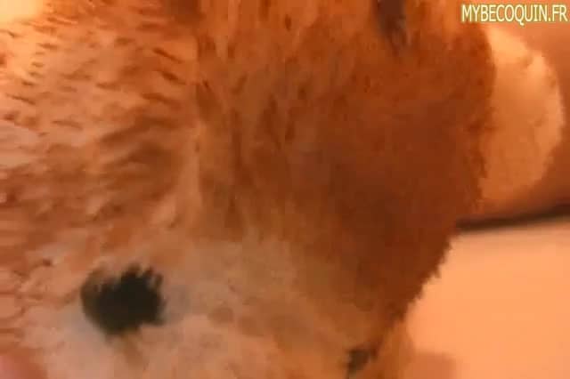 Jolie brune chiant sur un ours en peluche