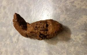je chie et je joue avec ma merde
