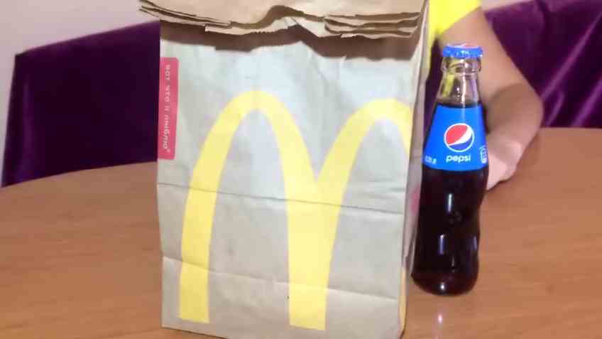 Un énorme tas de merde brune dans une assiette après avoir mangé un hamburger.