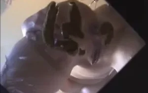 femme fait caca et pipi sur une table en miroir 